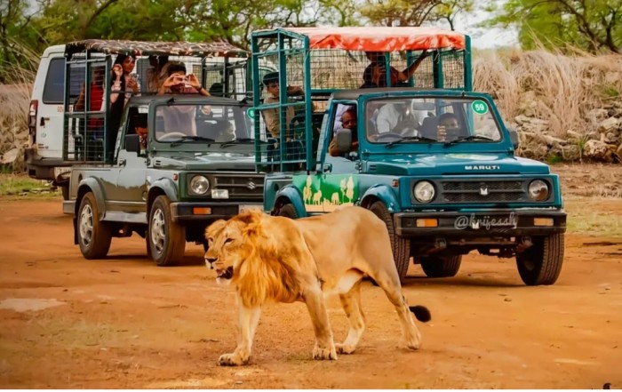 The Lion Gir Safari – Sasan Gir