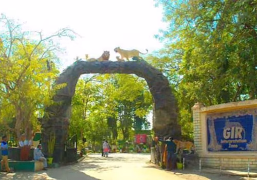 m_activities_Sasan Gir_Devalia Safari Park_l_374_599